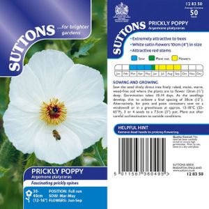Suttons Prickly Poppy Seeds - Argemone platyceras