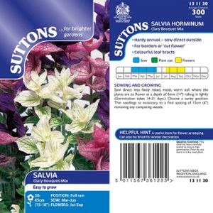 Suttons Salvia  Seeds - Clary Bouquet Mix