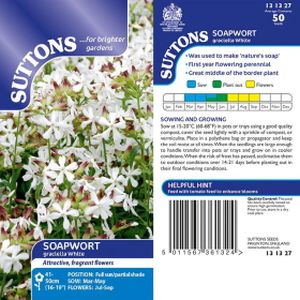 Suttons Soapwort Seeds - Graciella White