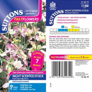Suttons Night Scented Stock Seeds -  Evening Fragrance