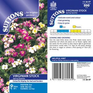 Suttons Virginian Stock Seeds - Spring Sparkle
