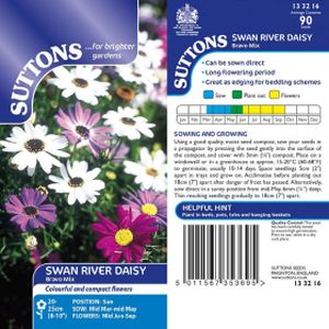 Suttons Swan River Daisy Seeds - Bravo Mix