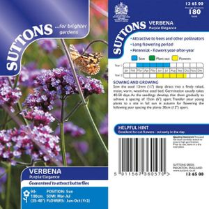 Suttons Verbena Seeds - Purple Elegance