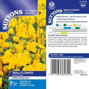 Suttons Wallflower Seeds - Cloth Of Gold