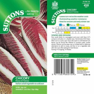 Suttons Chicory Seeds - Rossa Di Treviso Precoce