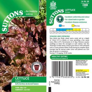 Suttons Lettuce - Amaze