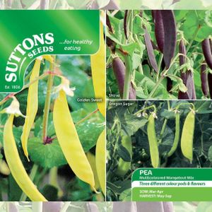 Suttons Pea Mangetout Seeds - Multicoloured
