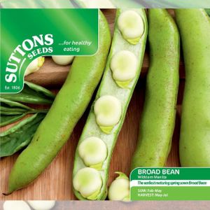 Suttons Broad Bean - Witkiem Manita