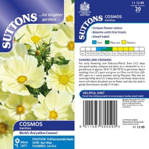 Suttons Cosmos Seeds - Xanthos