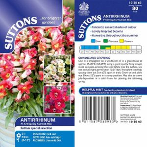 Suttons Antirrhinum F1 Antiquity Sunset Mix Seeds