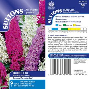Suttons Buddleia Seeds - Butterfly Magnet Mix
