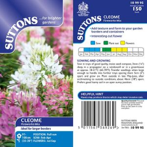 Suttons Cleome Seeds - Fireworks Mix
