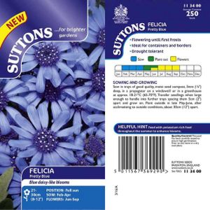 Suttons Felicia Seeds - Pretty Blue