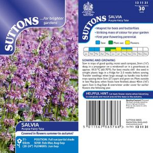 Suttons Salvia Purple Fairy Tale