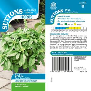 Suttons Basil Floral Spires White