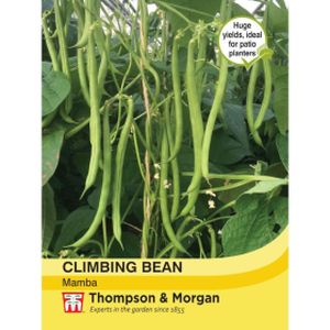 Thompson & Morgan Climbing Bean Mamba