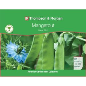 Thompson & Morgan Mangetout Pea Snow Wind