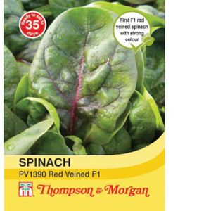 Thompson & Morgan Spinach Pv1390 Red Veined