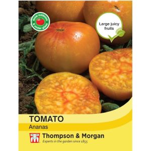 Thompson & Morgan Tomato Ananas