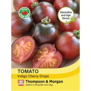 Thompson & Morgan Tomato Indigo Cherry Drops
