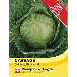 Thompson & Morgan Cabbage Cabbice F1 Hybrid 25% Free