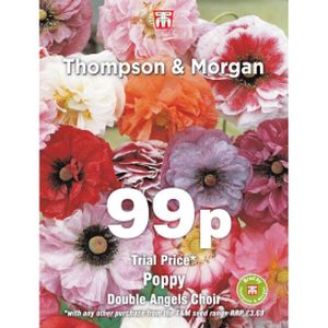 Thompson & Morgan Poppy Double Angels Choir