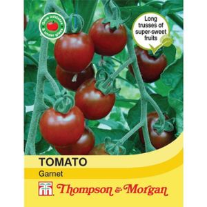 Thompson & Morgan Tomato Garnet