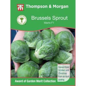 Thompson & Morgan Brussels Sprout Marte F1 Hybrid
