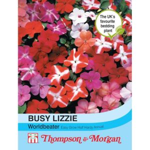 Thompson & Morgan Busy Lizzie Worldbeater Seeds