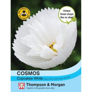 Thompson & Morgan Cosmos Cupcakes - White