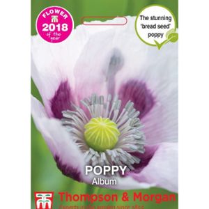 Thompson & Morgan Poppy Album Seeds