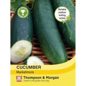 Thompson & Morgan Cucumber Marketmore