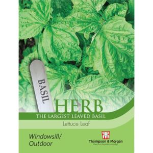 Thompson & Morgan Herb Lettuce Leaf Basil Seeds