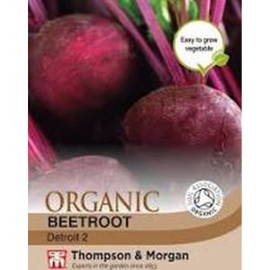 Thompson & Morgan Beetroot Detroit 2 (organic)