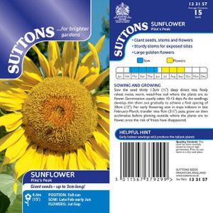 Suttons Sunflower* Pikes Peak