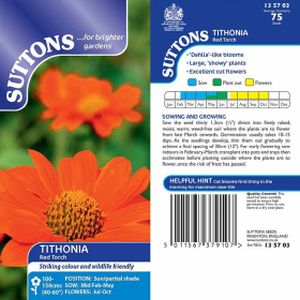 Suttons Tithonia Red Torch