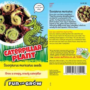 Suttons Fun to Grow Caterpillar Plant Scorpiurus