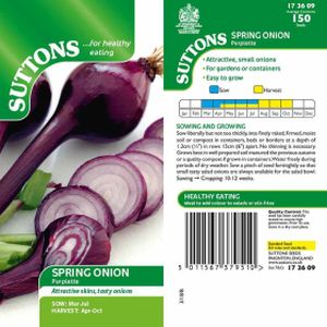 Suttons Salad Onion Purplette