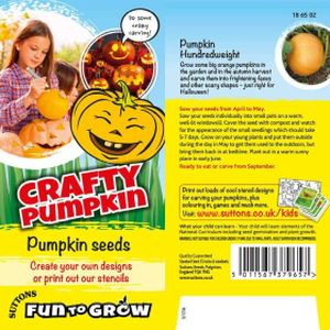 Suttons Fun to Grow Crafty Pumpkin Hundredweight