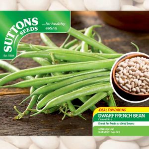 Suttons Dwarf French Bean Canelloni Lngt
