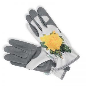 Gold Leaf Hampton Glove (Rose)