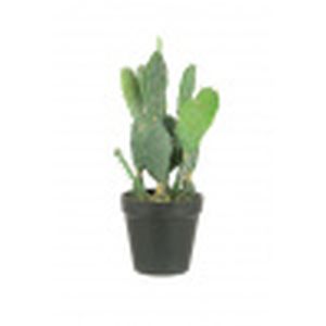 Floralsilk Cactus W/Black Pot 31cm