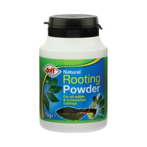 Doff Rooting Powder 75g Pk24