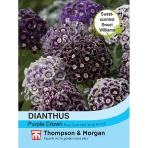Thompson & Morgan Dianthus Purple Crown