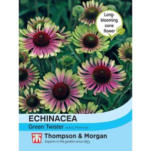 Thompson & Morgan Echinacea Green Twister Seeds