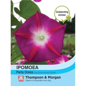 Thompson & Morgan Ipomea Party Dress Seeds