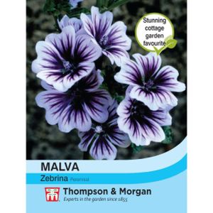 Thompson & Morgan Malva Sylvestris Zebrina Seeds