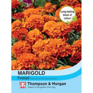 Thompson & Morgan Marigold Fireball Seeds