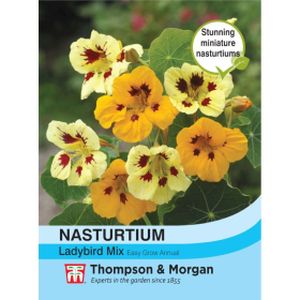 Thompson & Morgan Nasturtium Ladybird Mix