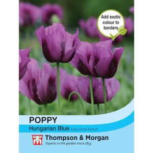 Thompson & Morgan Poppy Hungarian Blue Seeds